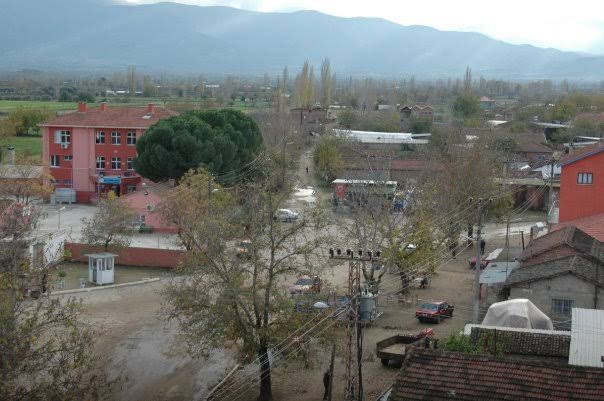 Gereli 